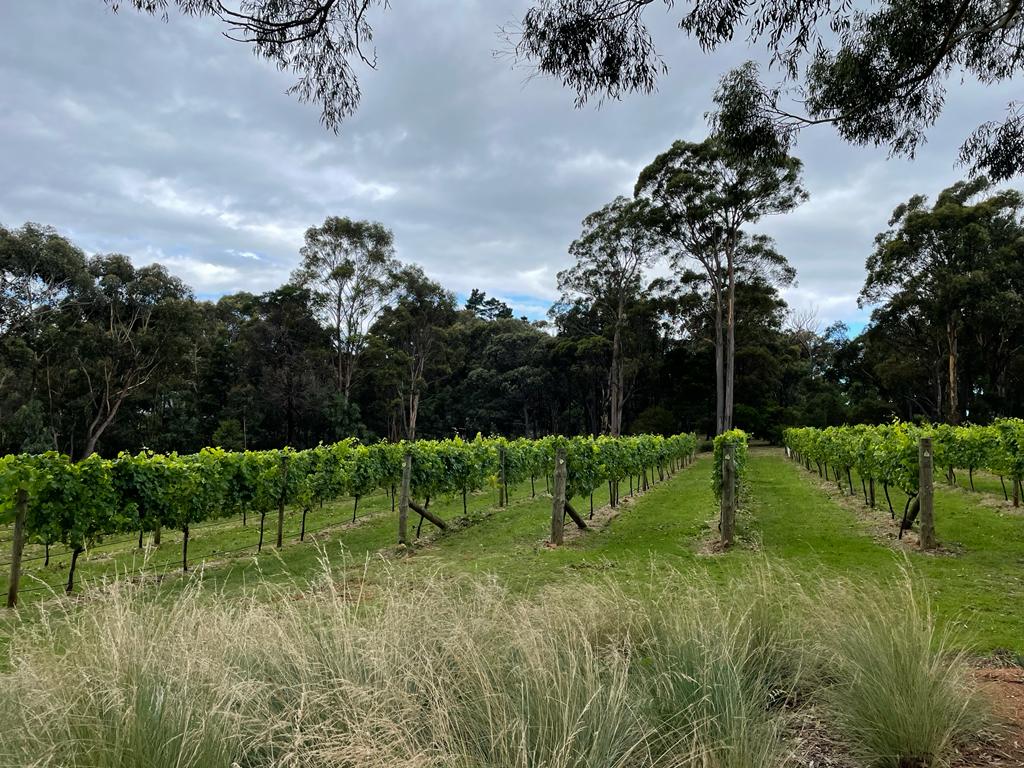 Vineyard Restaurant